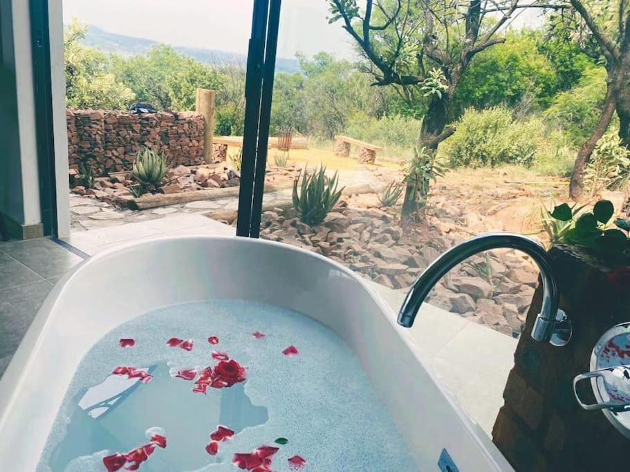 פרטוריה Rocky Road Mountain Lodge מראה חיצוני תמונה